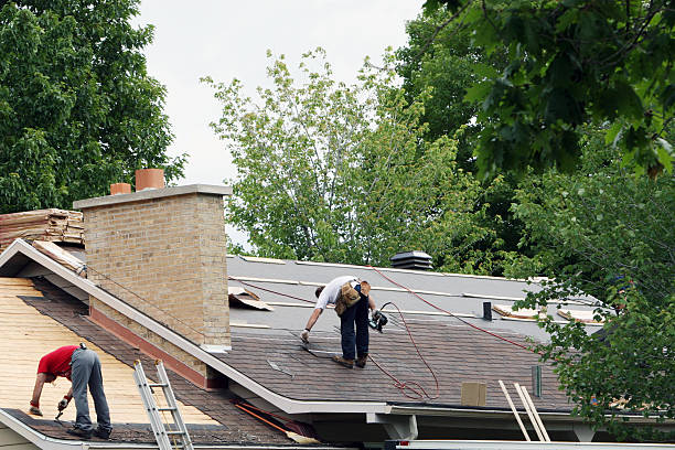 Best Roof Gutter Cleaning  in Peru, IN